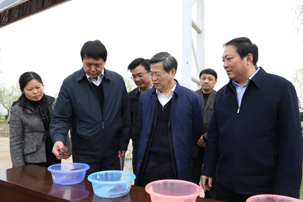 中央政法委委員、秘書長、時任湖北省省委副書記、武漢市委書記陳一新視察萊克龍灣基地